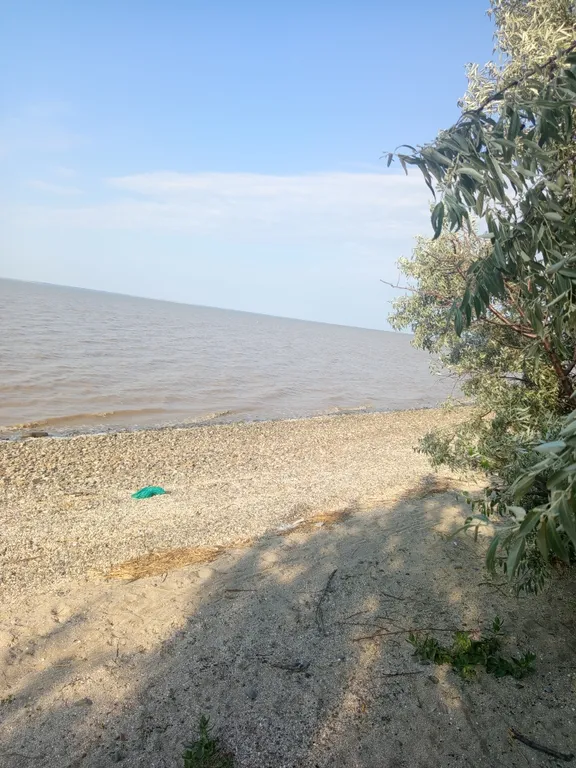 Квартира Уютная комната для спокойного отдыха — Ейск