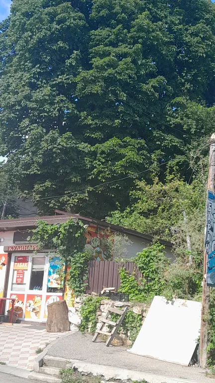 Комната в 2х этажном доме с отдельным входом, 5 мин от парка