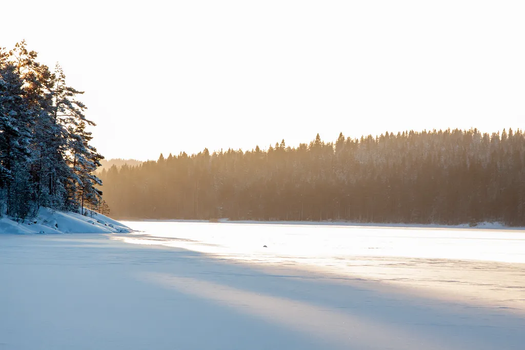 Солнечный с дровяной сауной