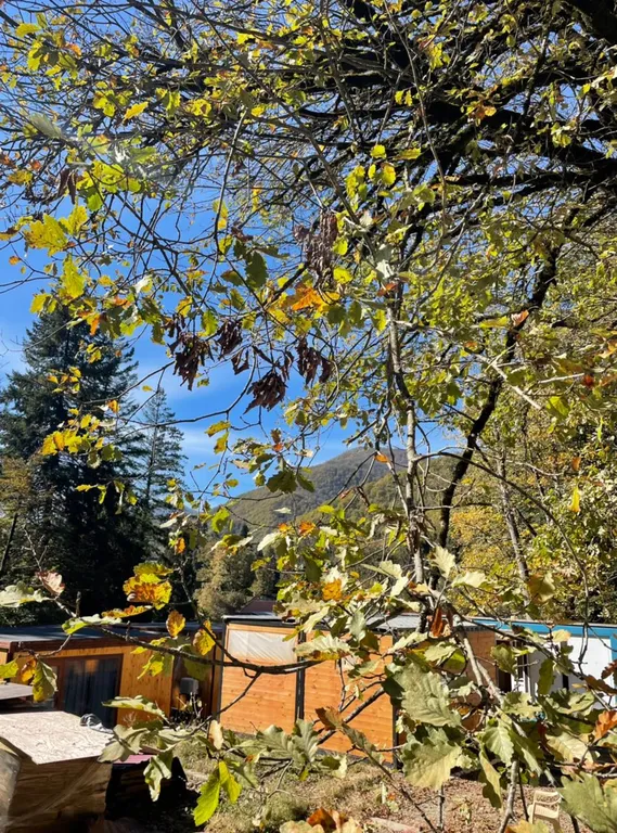 Домик у снежных вершин