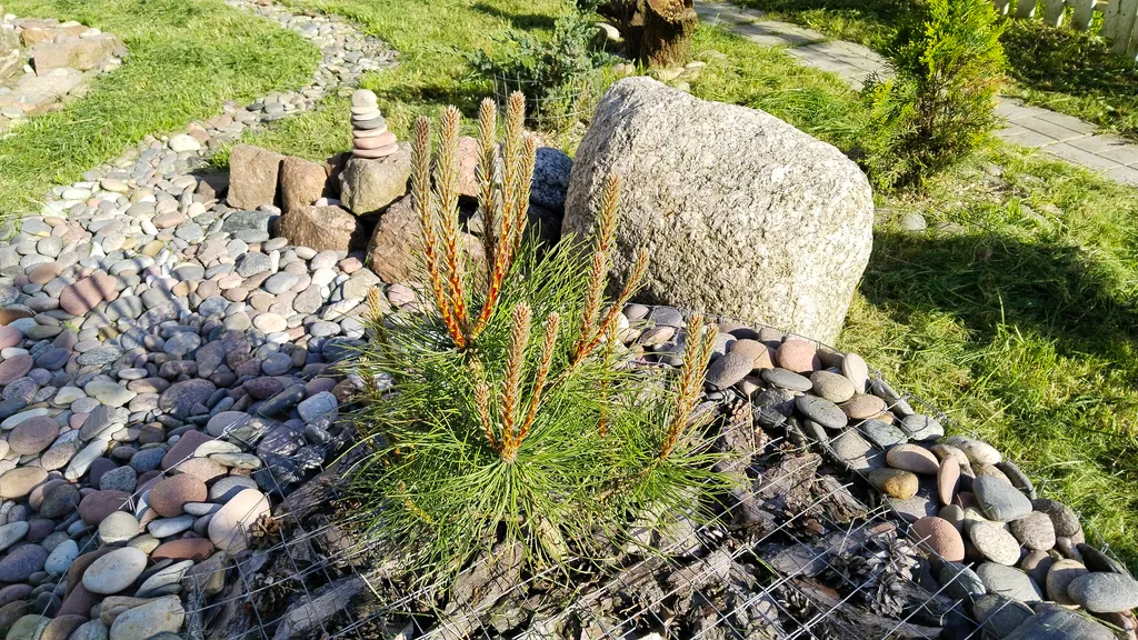 Квартира 2-комнатная Квартира — Рыбачий