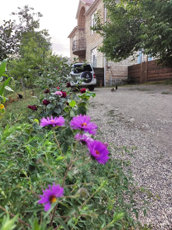 Guest house 119 с видом на горы, лес, двор