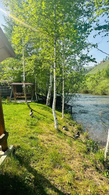 Гостевой дом на берегу реки Базаиха