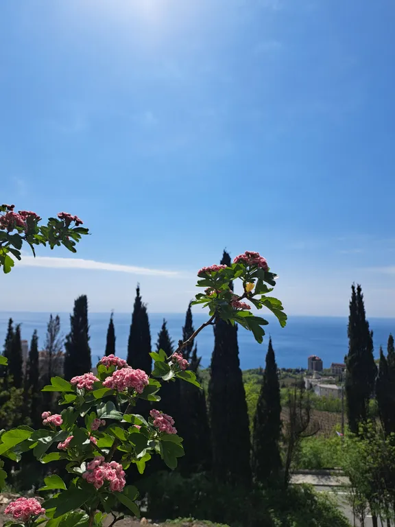 Апартамент Ялтинские ночи