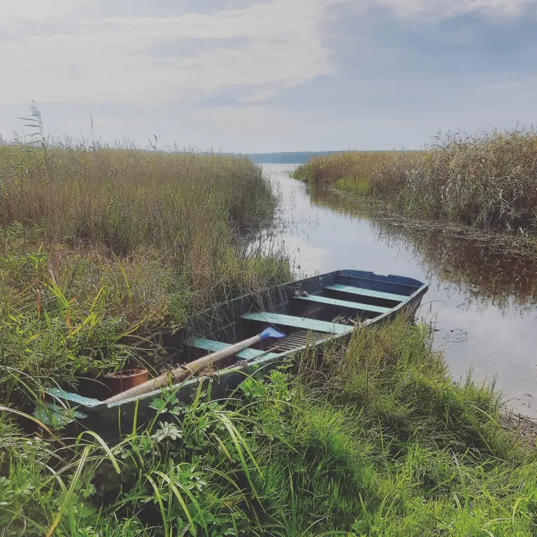 Гостевой дом между Лесом и Озером