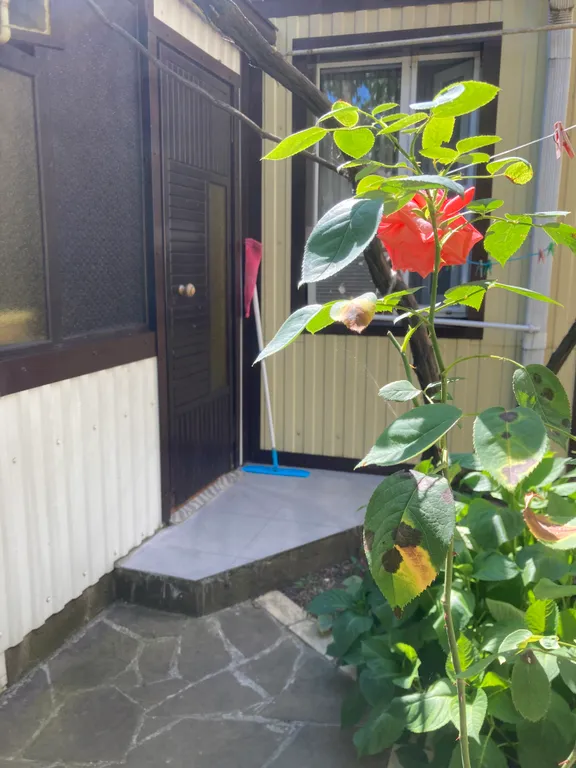 Симпатичный коттедж в тихом районе Приморья