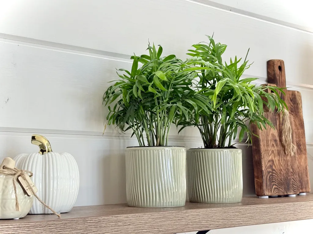 Усадьба Medna Barnhouse