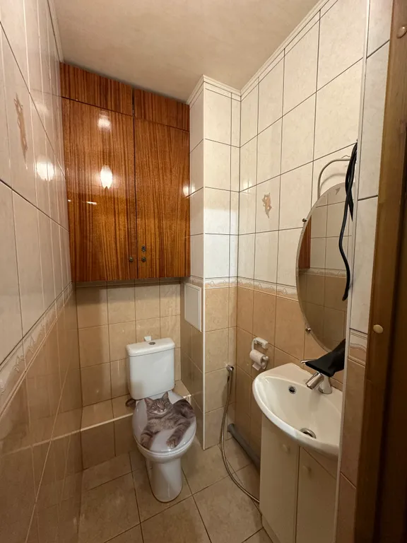 3-комнатная Квартира