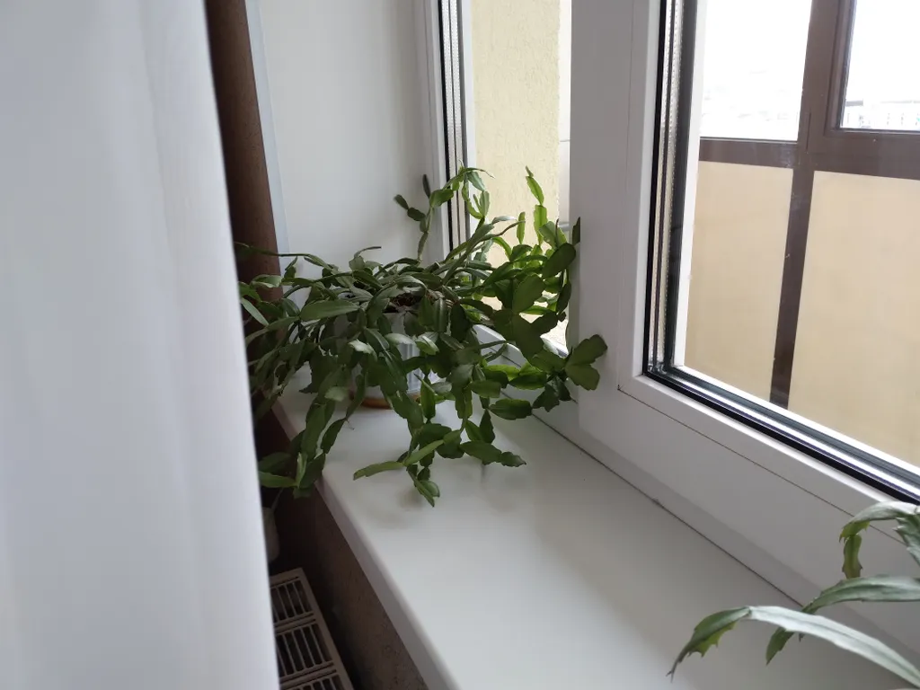 Студия у метро Девяткино