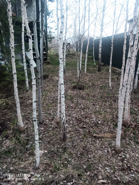 Дом рядом с конно-спортивным комплексом Дубрава