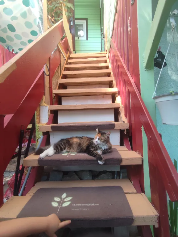 Прекрасное место для отдыха