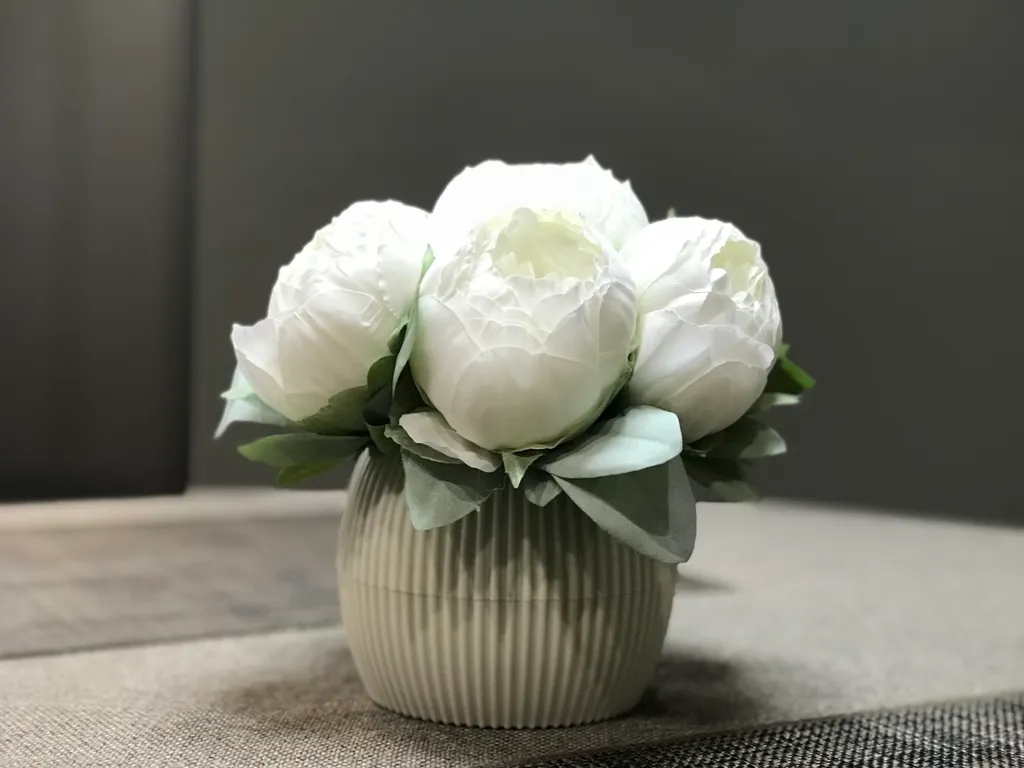 Квартира-студия в центре города