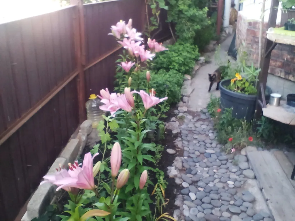 Видовая уютная студия с террасой