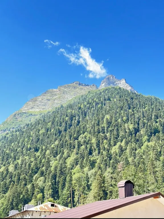 Уютная студия в центре