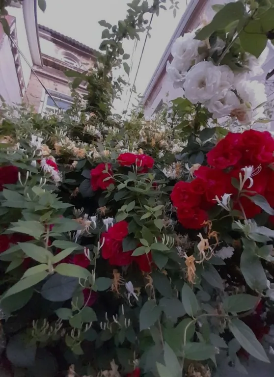 Квартира с красивой беседкой у моря