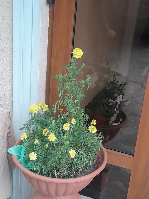 Комната в доме без хозяина в 5 минутах ходьбы от парка