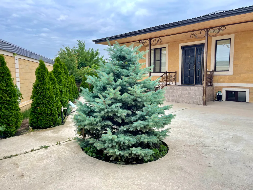 Коттедж Уютная дача в 2-минутах езды от моря — аренда посуточно в Дербент