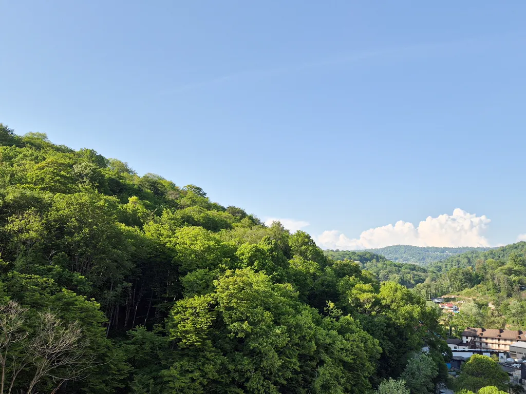 Апартаменты с видом на море, лес и горы