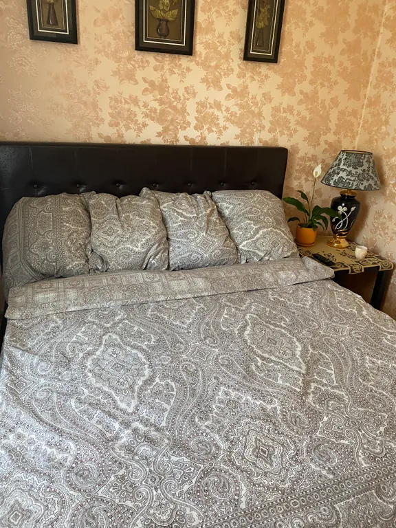 Комфортная чистая квартира с кондиционером и бойлером в Пинске