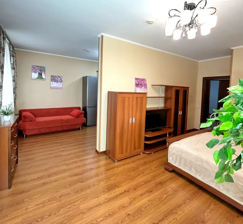 Квартира Апартаменты с красивым видом — Красноярск