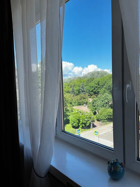 Апартаменты с видом на парк