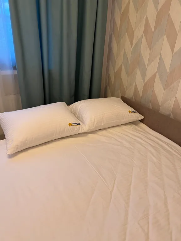 Квартира Уютная квартира у озера в центре — Светлогорск