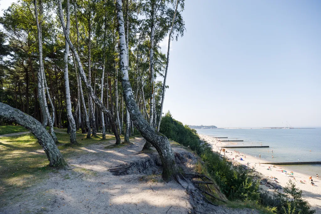 Уютная квартира рядом с морем