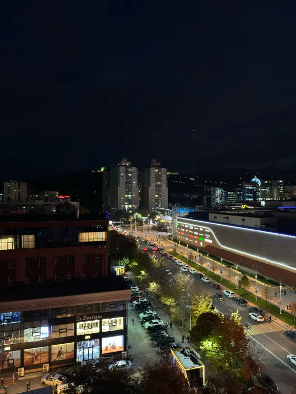 Уютная двухкомнатная квартира напротив ТРЦ Достык Плаза