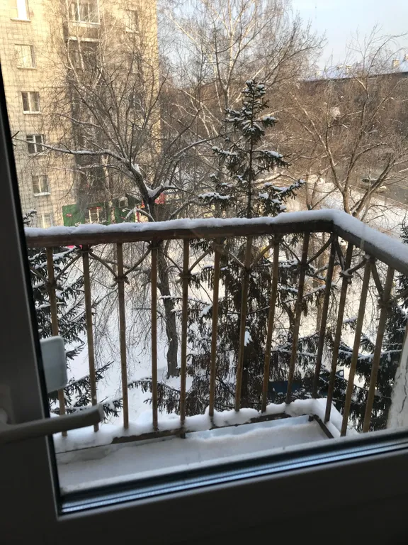 Комната рядом с ЛДС Сибирь, Нептун, Термо Миры зоопарк