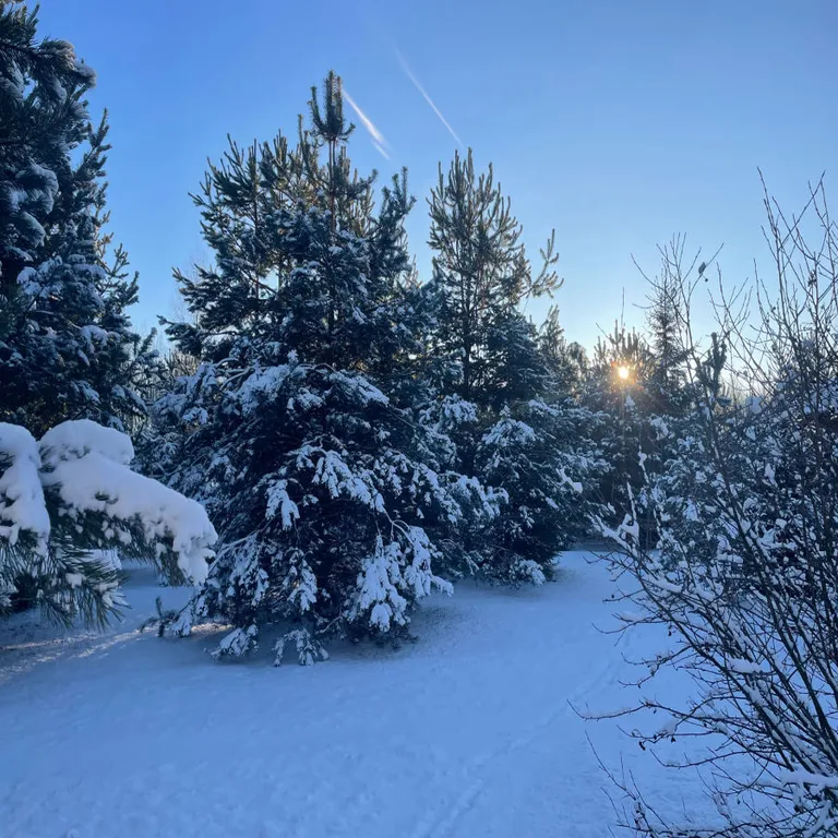 Семейная усадьба на гектаре