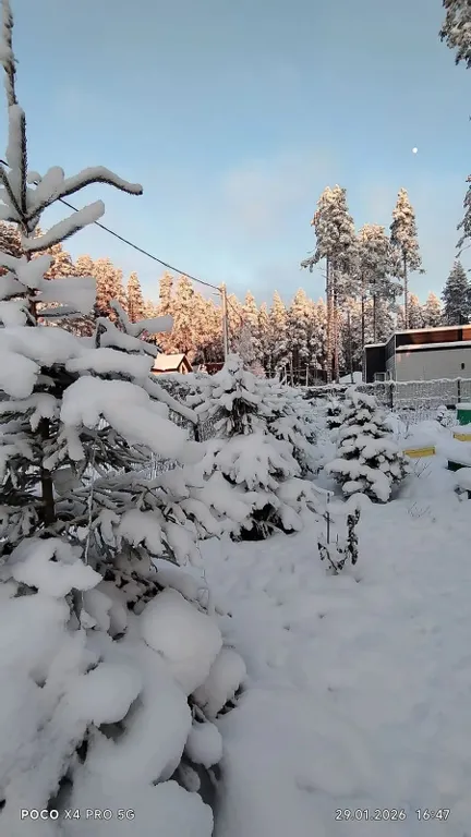 Уютный новый дом в сосновом лесу на берегу Финского залива