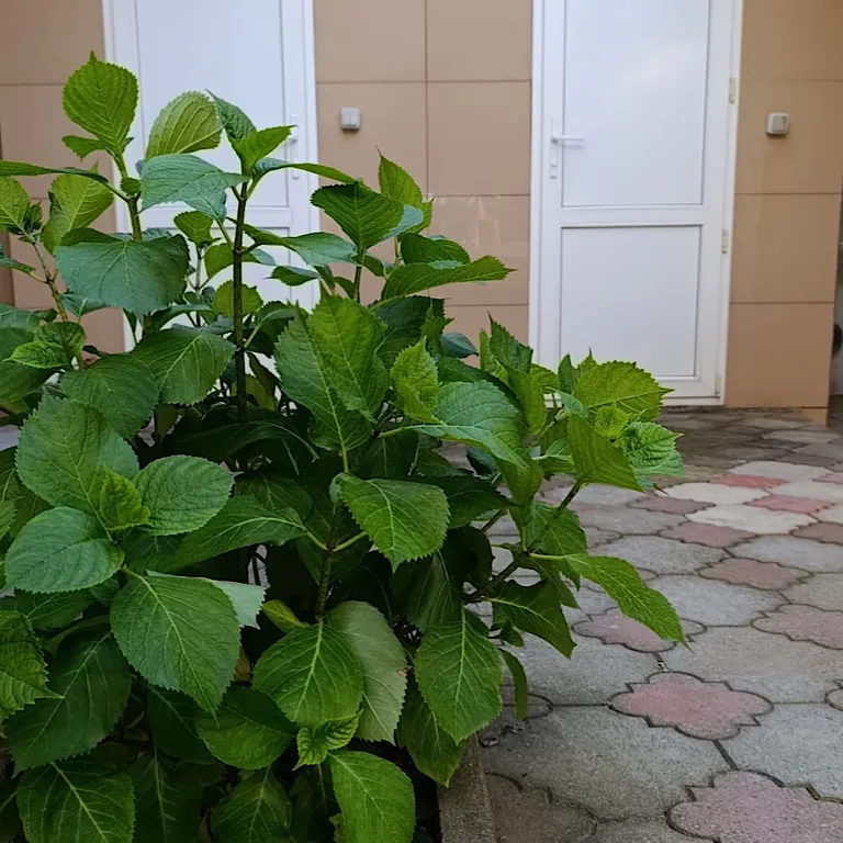 Двухместная комната с удобствами