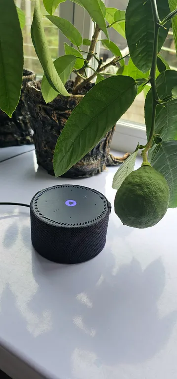 Студия почти в центре, рядом с Золотым мостом, Китайским консульством, фуникулером