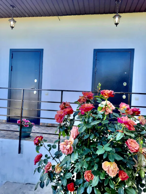 Квартира Уютная новая квартира рядом с морем — Судак