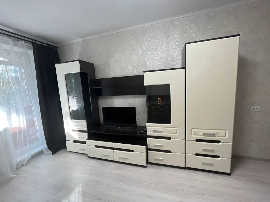 Просторная однокомнатная квартира