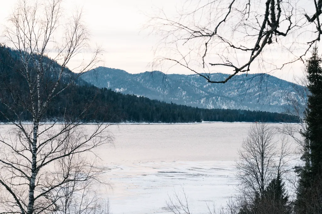 Villa Roma Телецкое-большой панорамный афрэйм1 с видом на горы и озеро