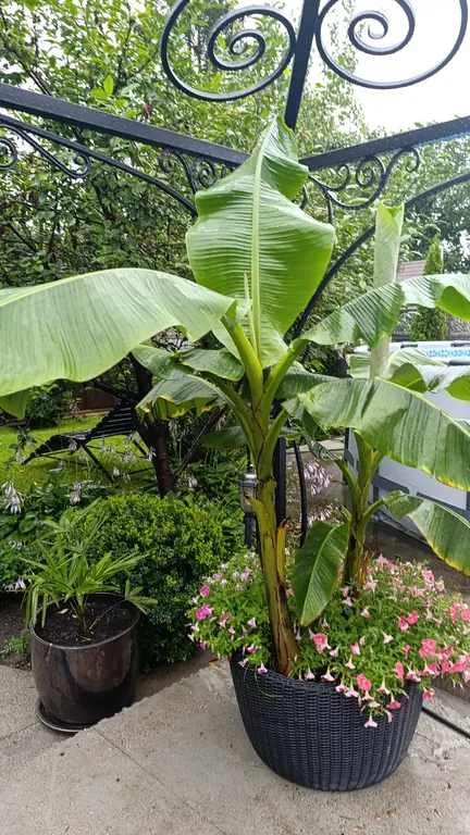 Гостевой дом с бассейном и баней на дровах