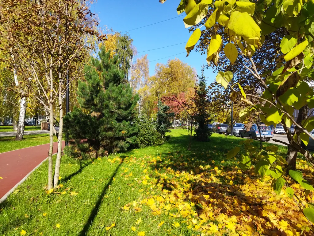 Квартира на бульваре