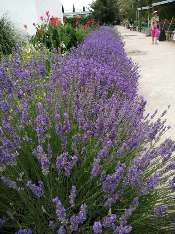 Апартаменты с видом на море