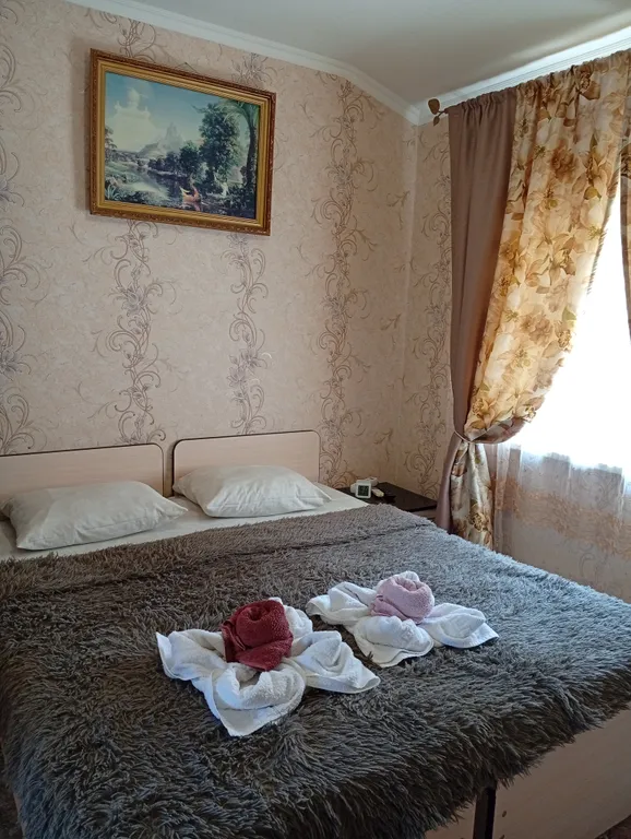 Комната с удобствами с 1 двуспальной или 2 односпальными кроватями