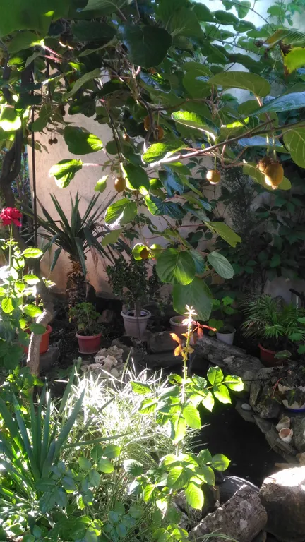 Трехместный номер