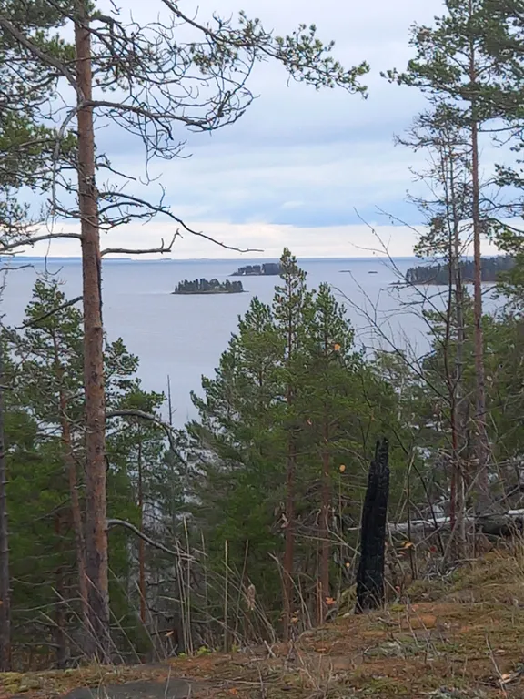 Коттедж Дом в окружении леса и скал — Мережнаволок