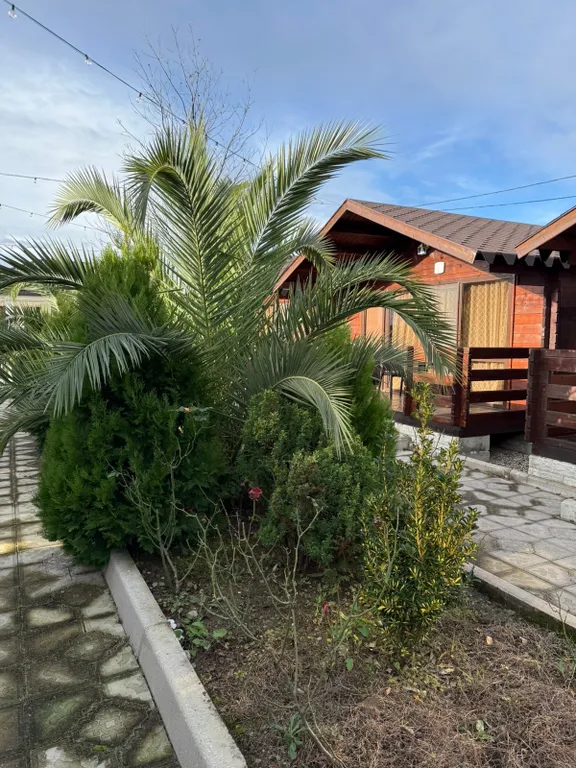 Квартира Комната — Гагра