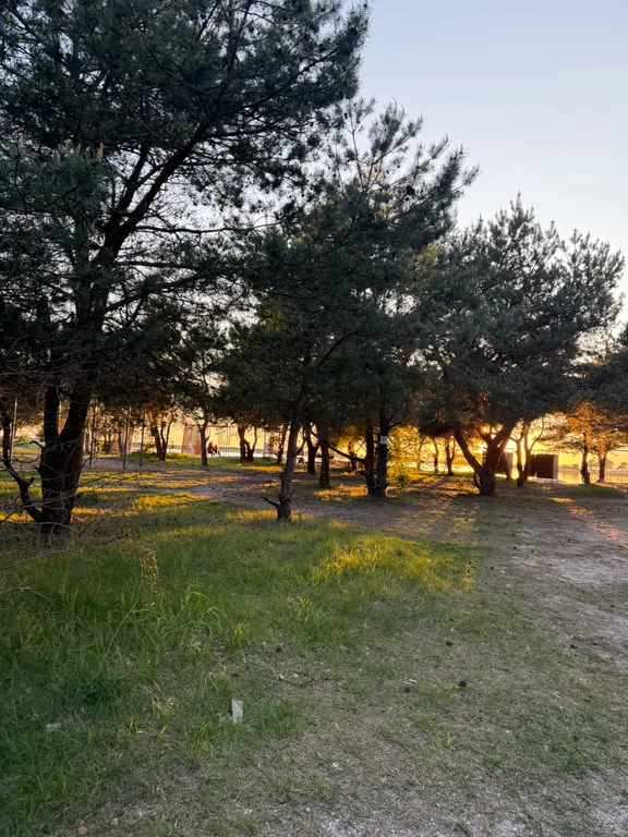 Дом в комплексе для отдыха Мечта