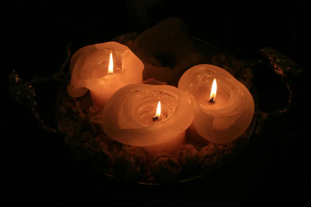 Scandi Арт-дом в сосновом бору