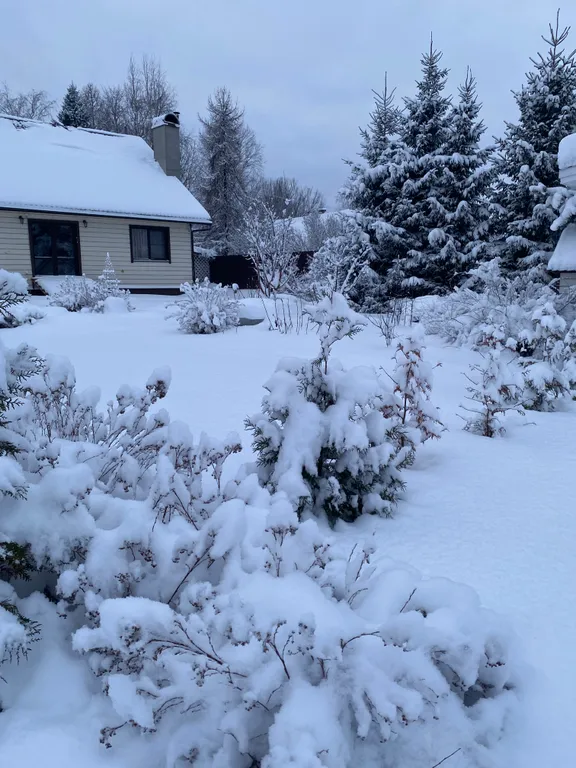 Дом для отдыха от городской суеты