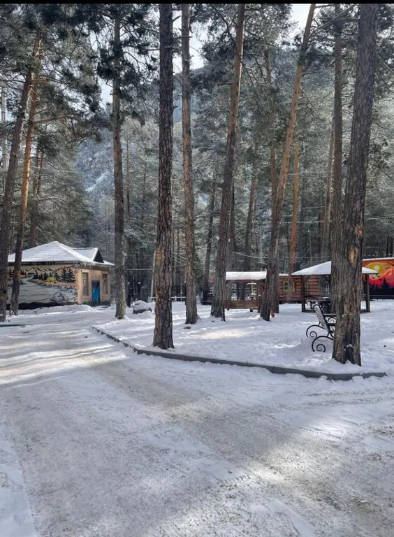 Уютная квартира в сосновом лесу