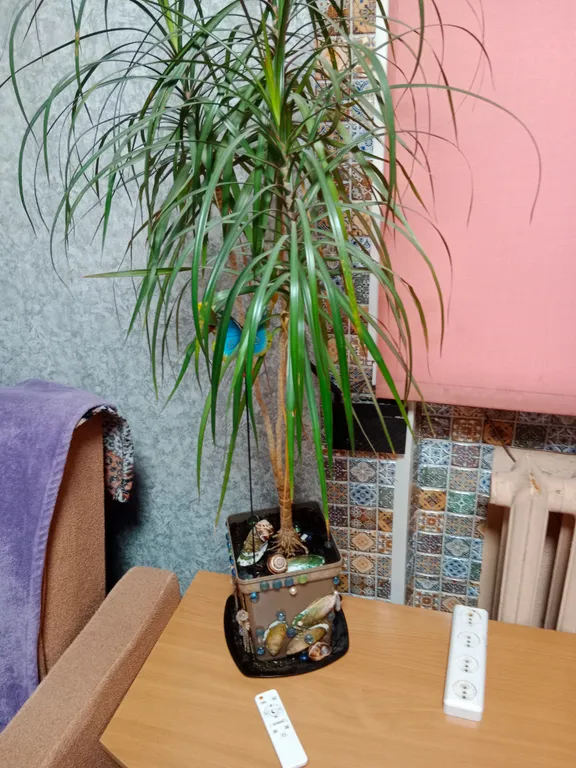 Квартира Квартира от собственника в Курортном районе, Песочный — Песочный