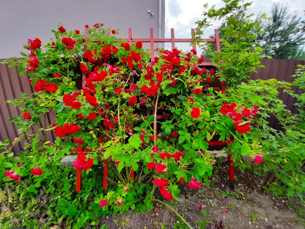 6-комнатный Дом