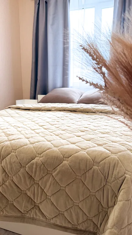 Шикарная двухкомнатная квартира — аренда посуточно в Городец